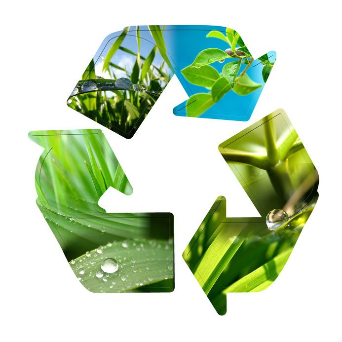 Reciclaje Ambiental